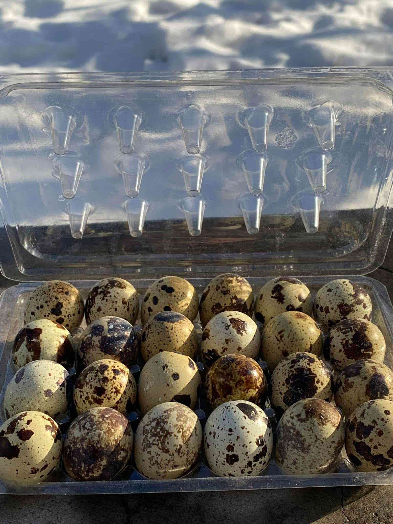 🥚 Ouă de prepeliță crescute la sol – 12 oua